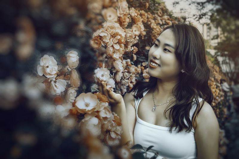 红蔷薇 红蔷薇 фото превью