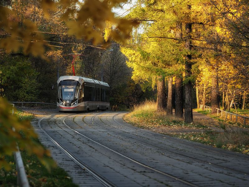 трамва, осень, сокольники, москва Осенний трамвай фото превью
