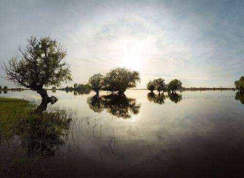 Половодье в дельте Волги