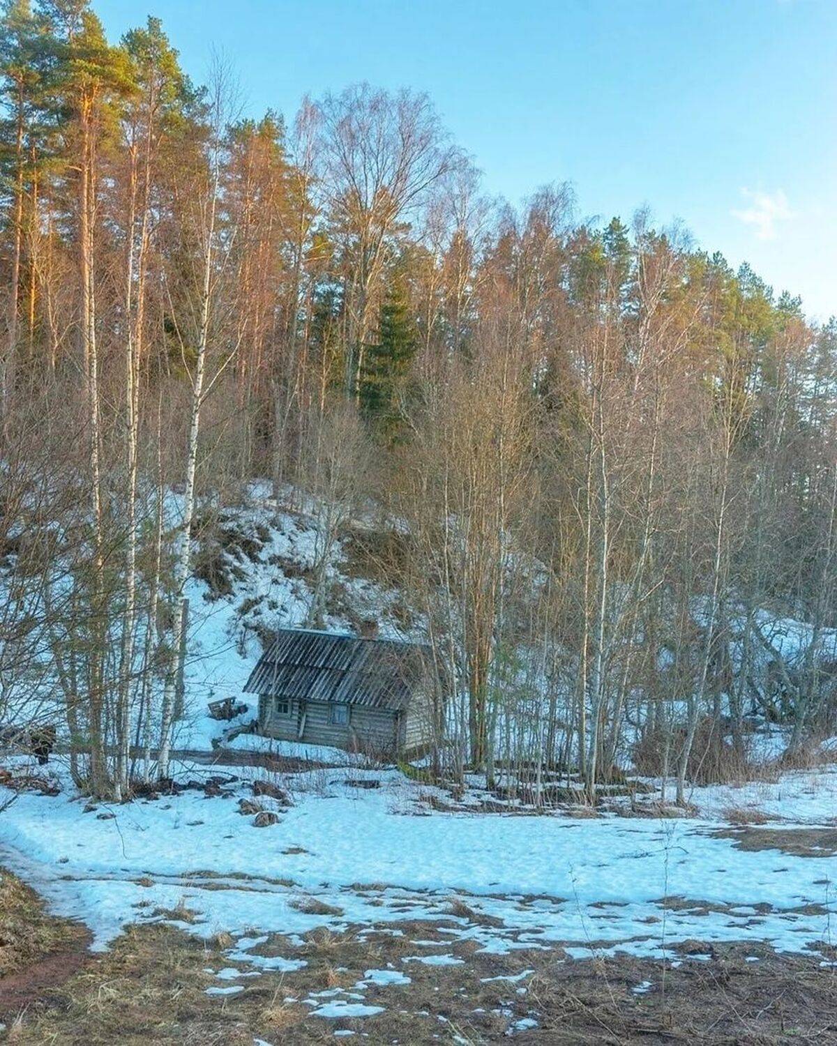 , Петр Косых