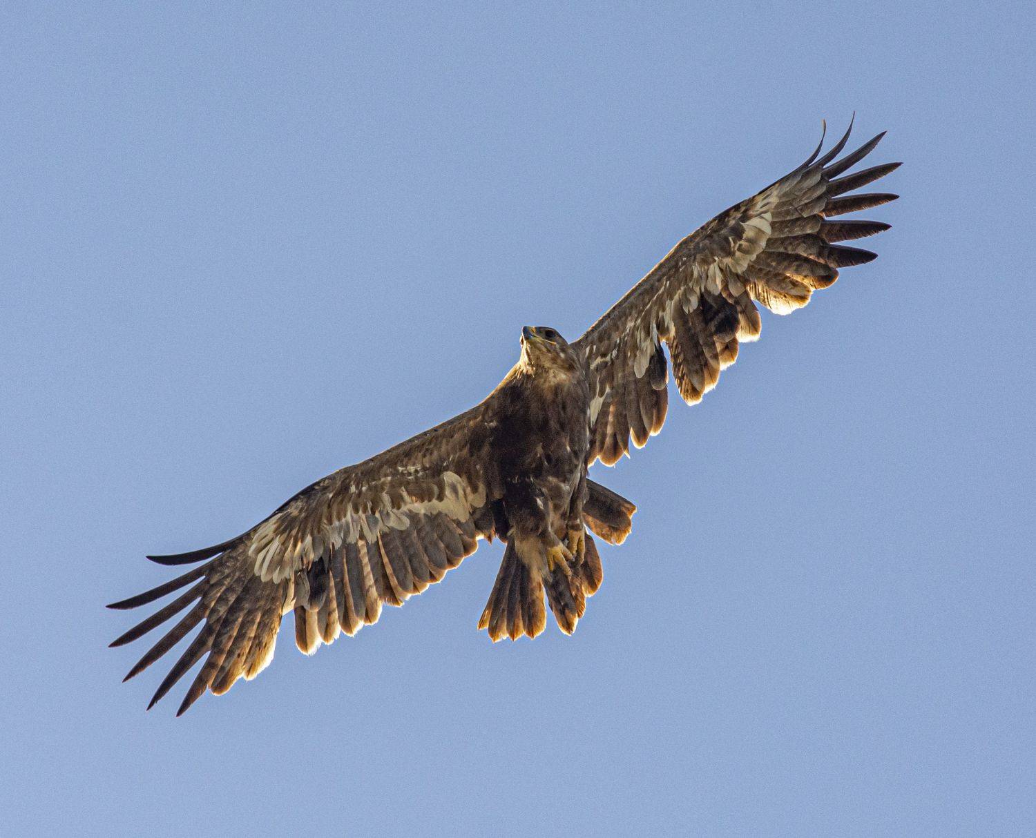 , Савчук Сергей