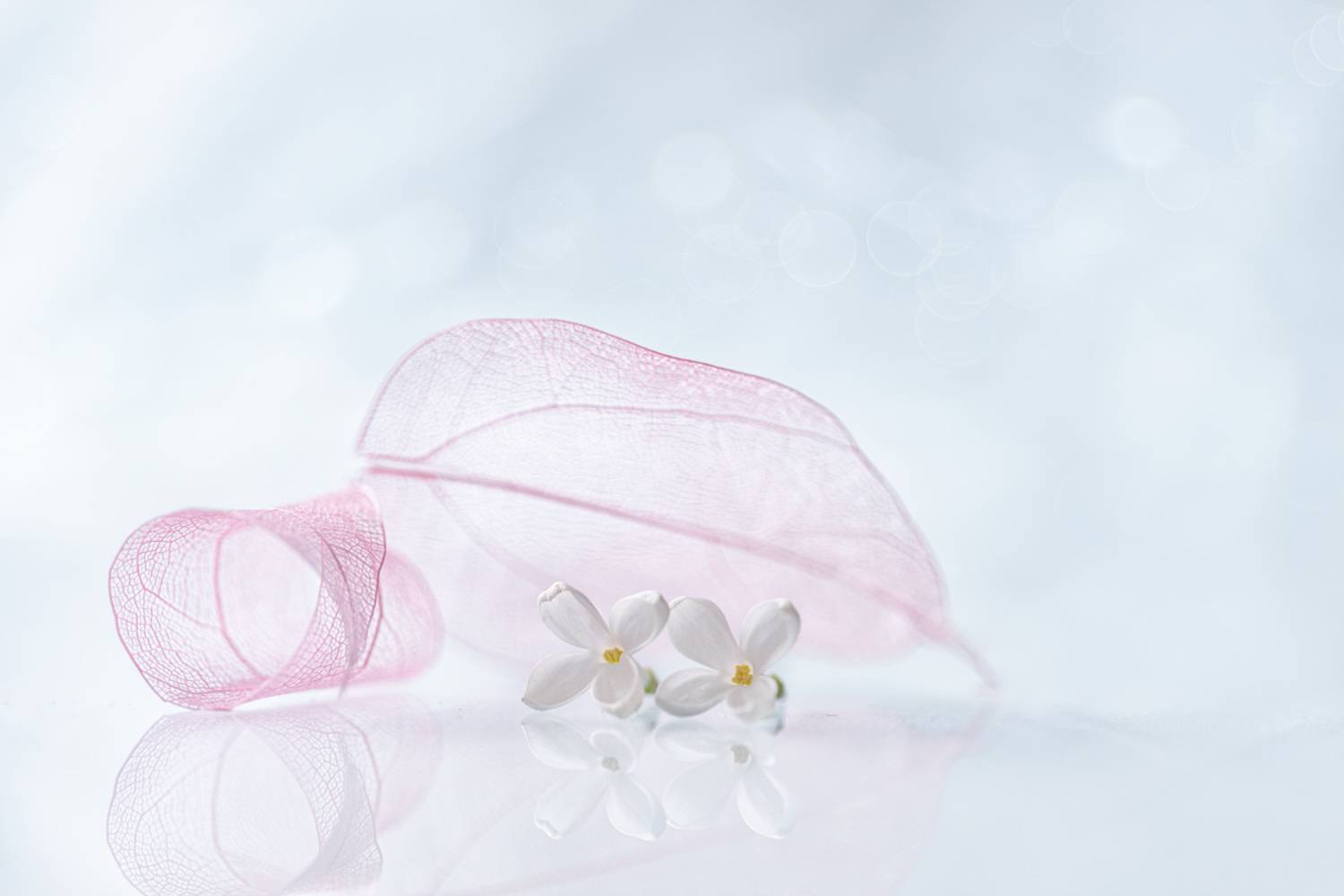 close-up, Игорь Копцев