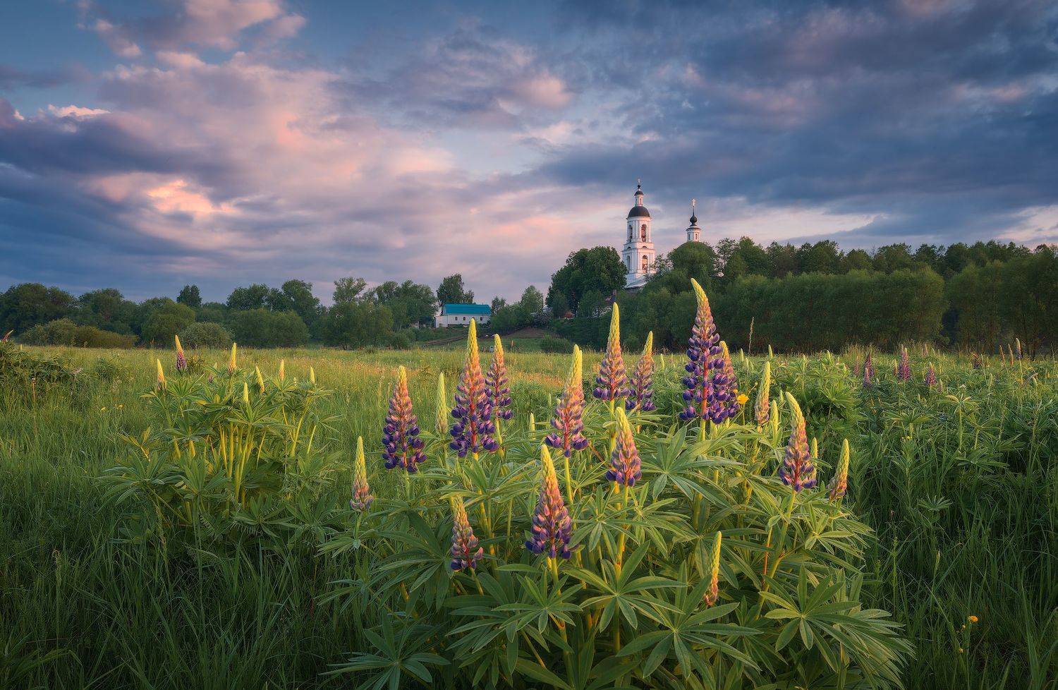 филипповское, утро, храм, Левыкин Виталий