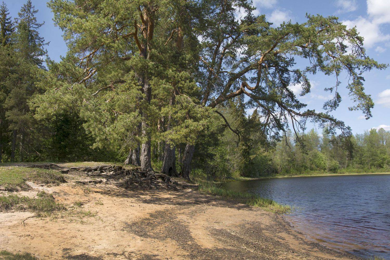 , Волоцков Александр