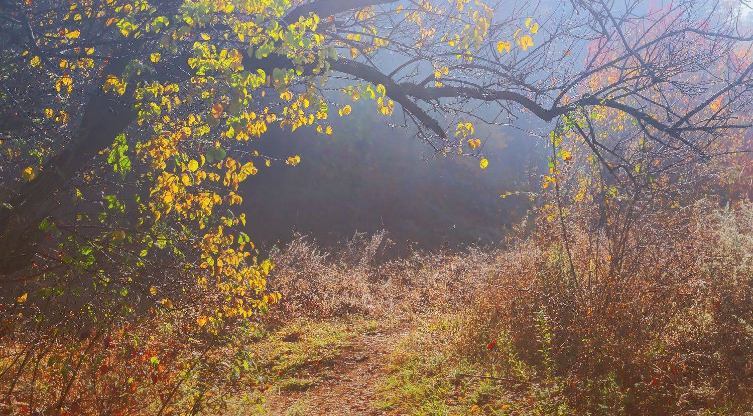 , Лысенко Сергей