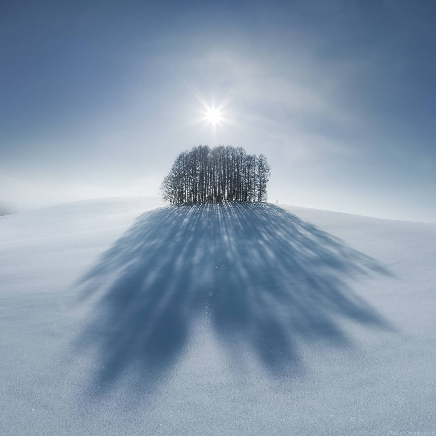 , Даниил Коржонов