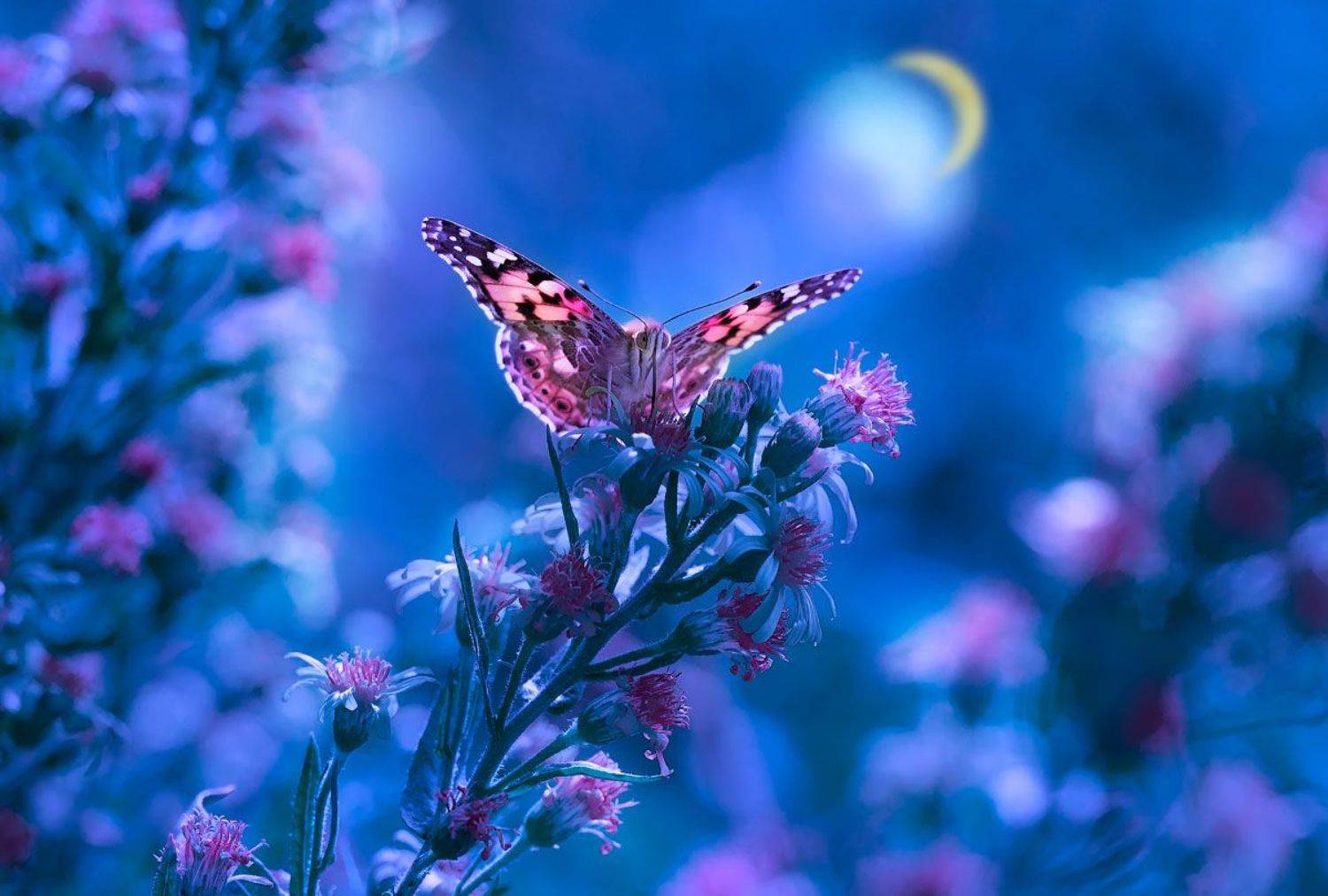 , Полина Васеева