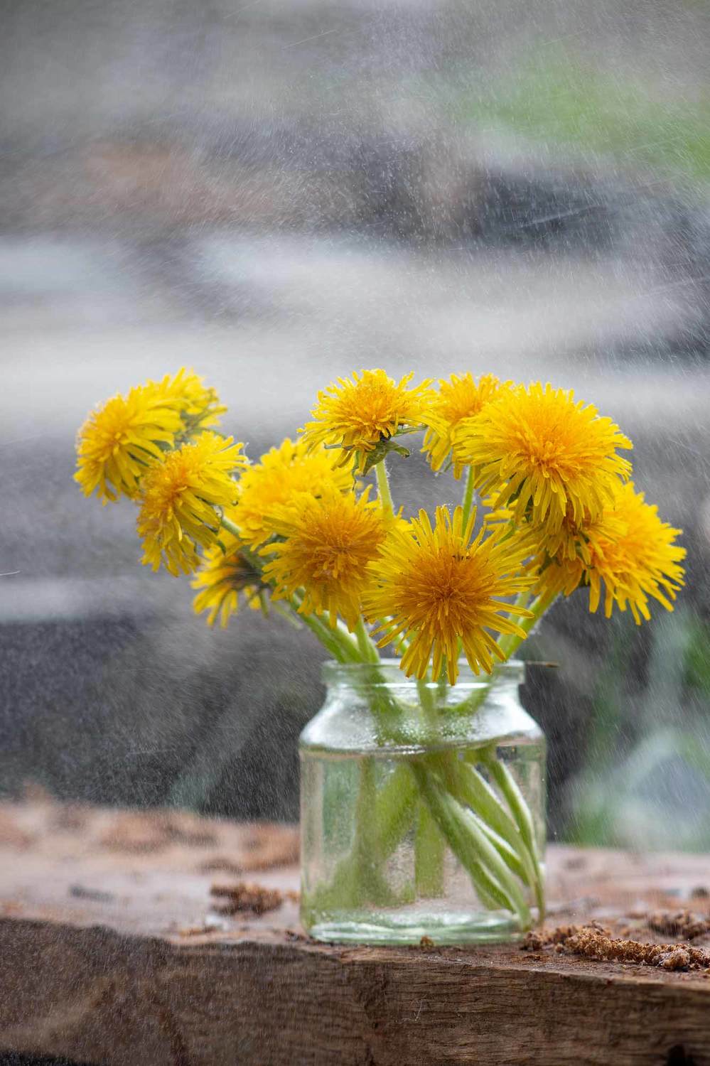 , Александр