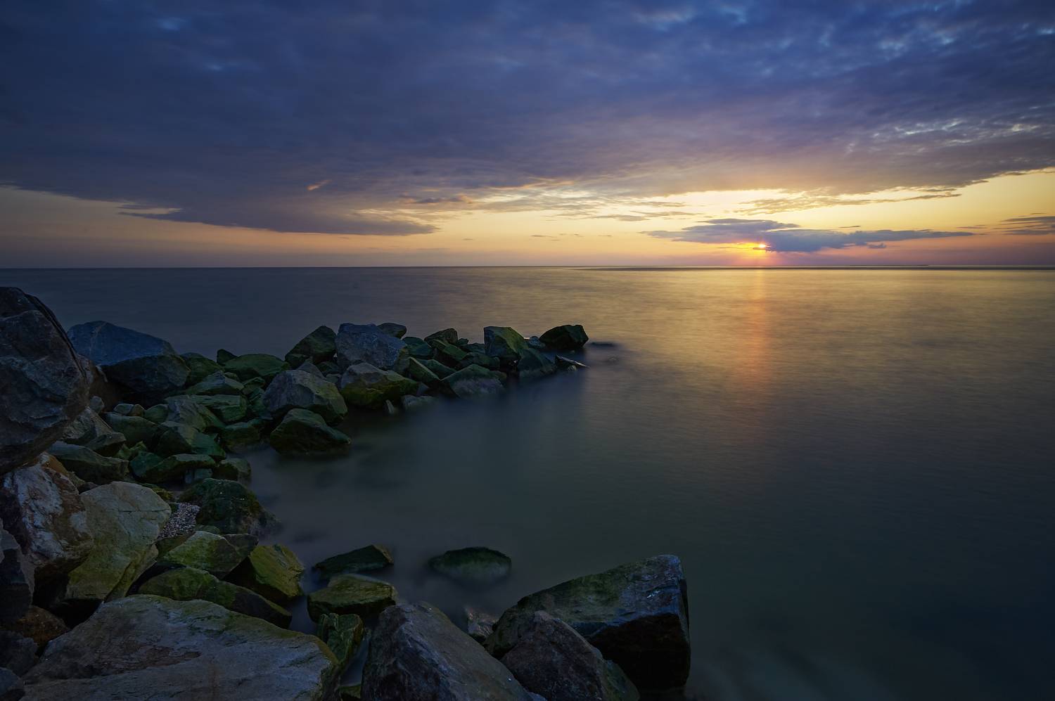 , Бурцев Дмитрий