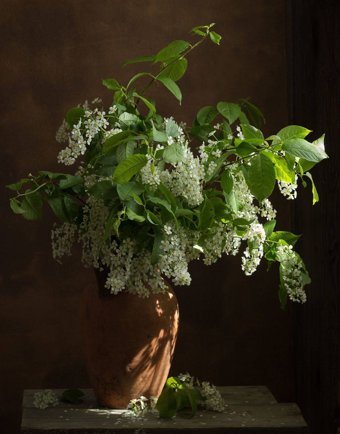 , Хвойнова Елена