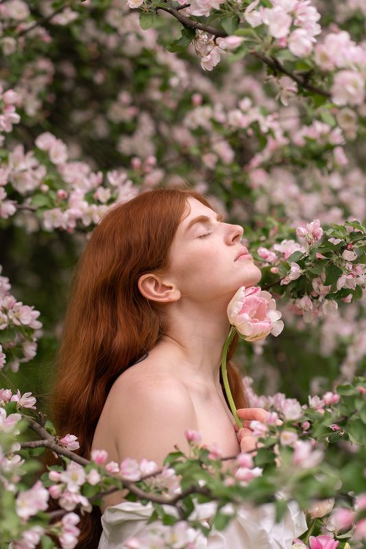 Бурая фото превью