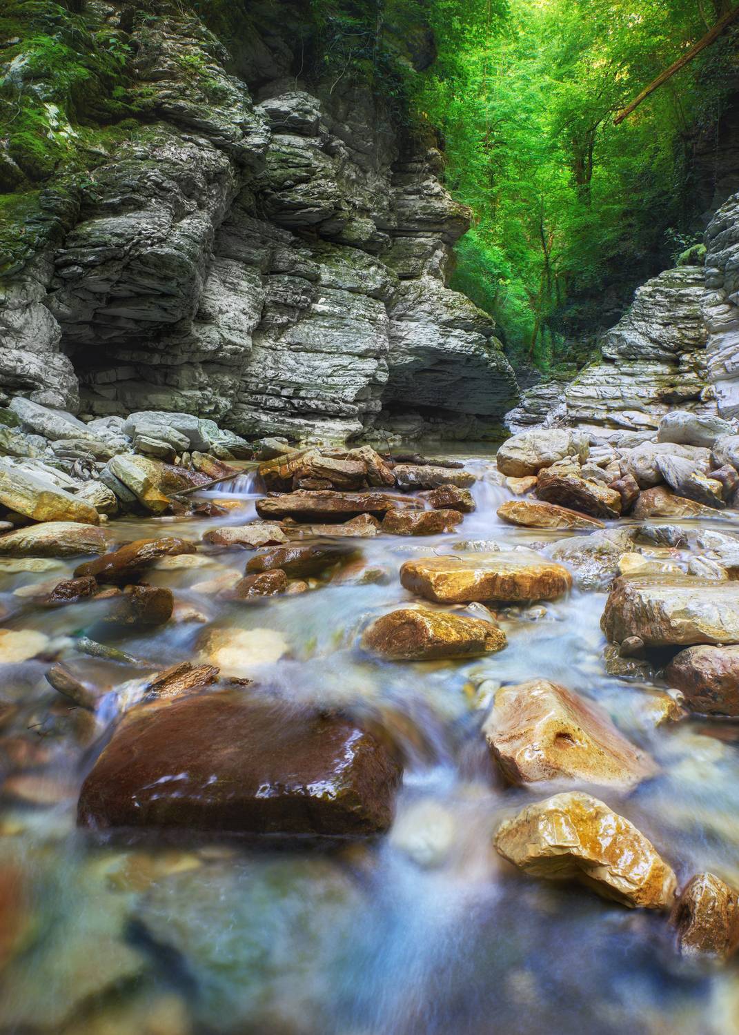 , Сергей Тихомиров