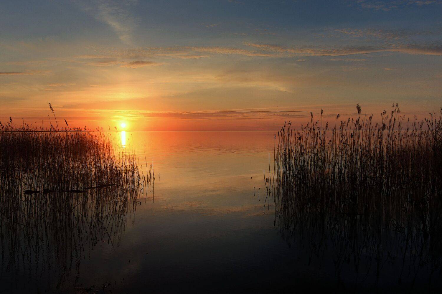 , Сергей Григорьев