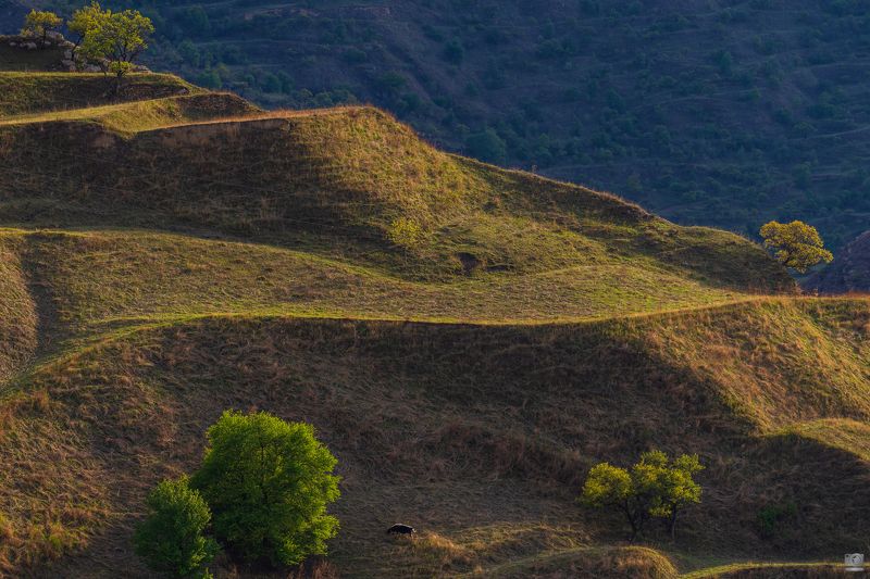 Дагестан Горный Дагестан, окрестности аула Чох. фото превью