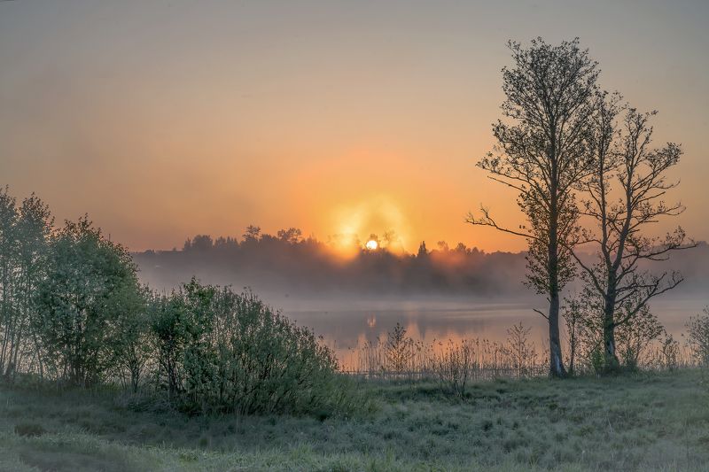 Раннее утро на Селигере... фото превью