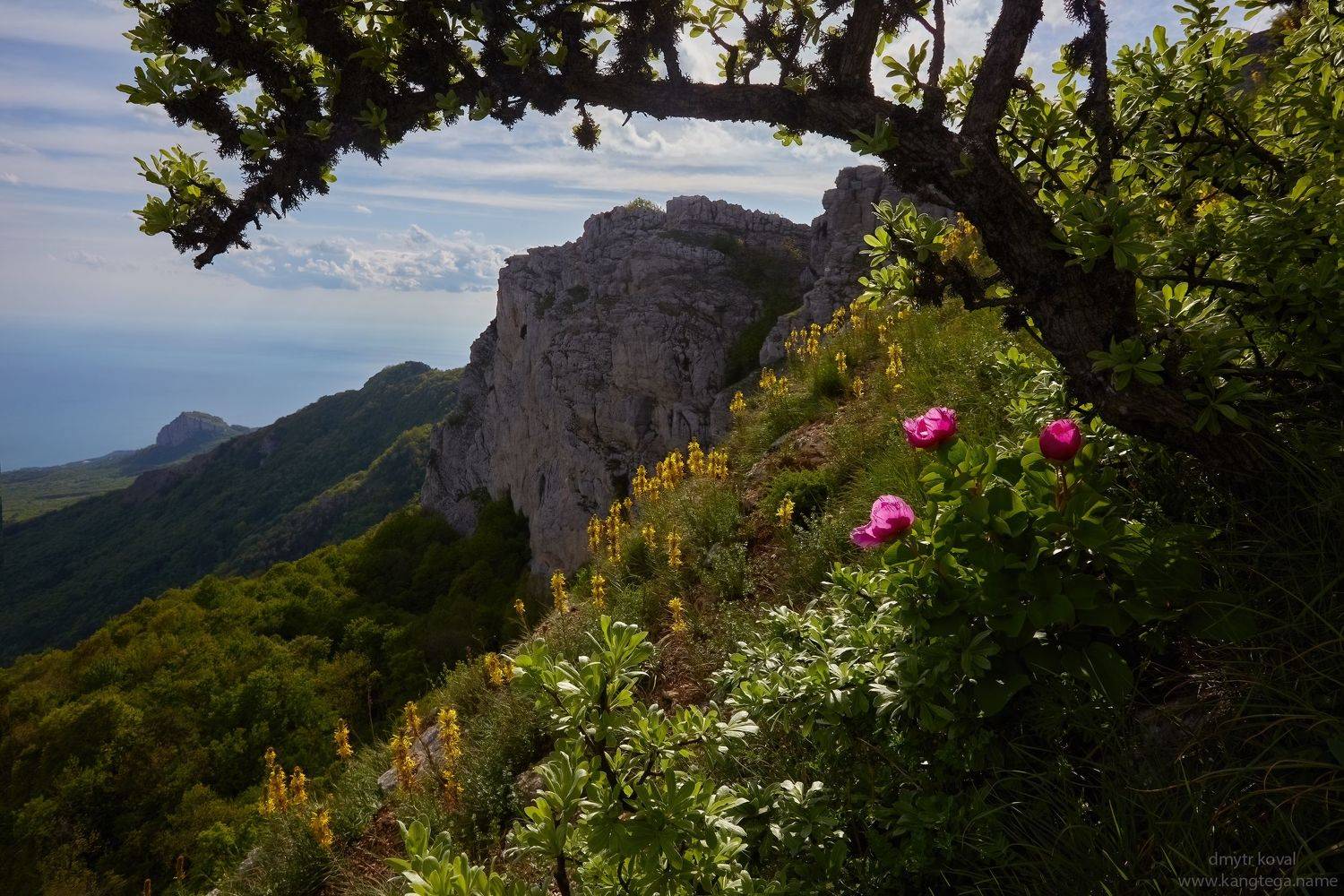дмитр коваль, гималаи и крым вне треков, пейзаж как магия, Коваль Дмитр