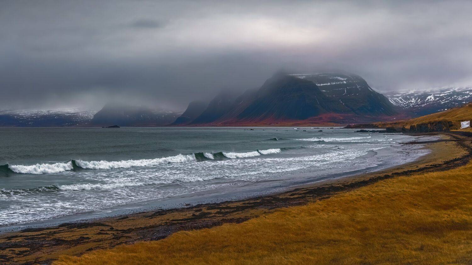 , Шварцман Евгений