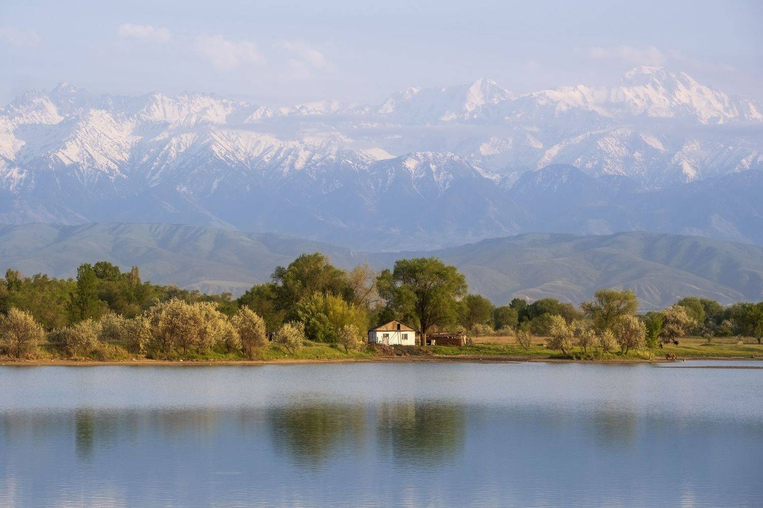 , Светлана Краюшкина