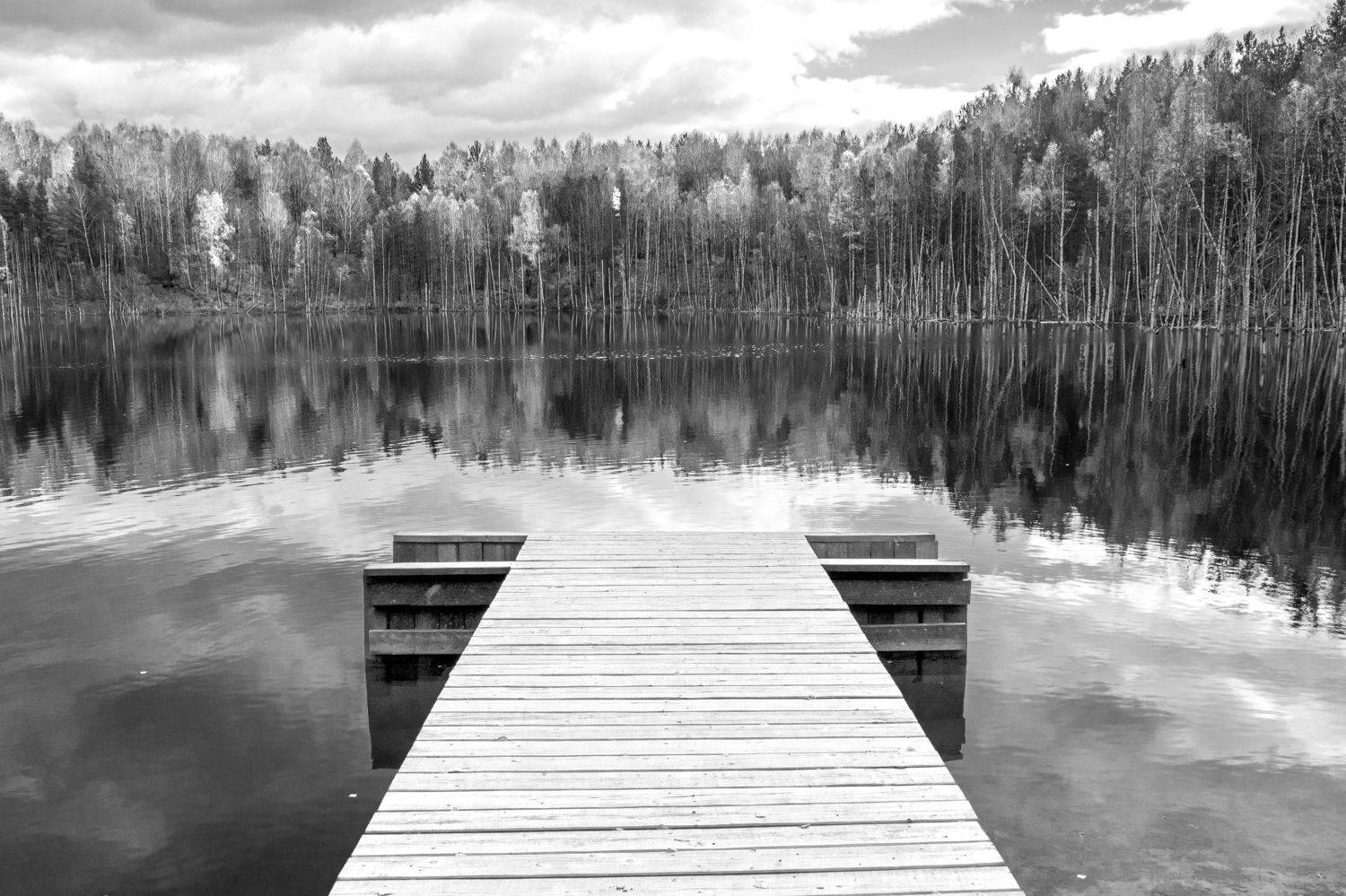 , Андрей Хаймин