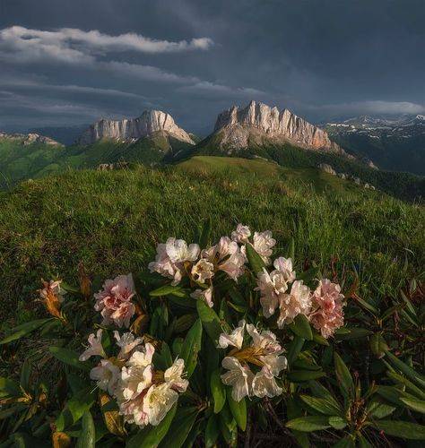 Про Свет после грозы