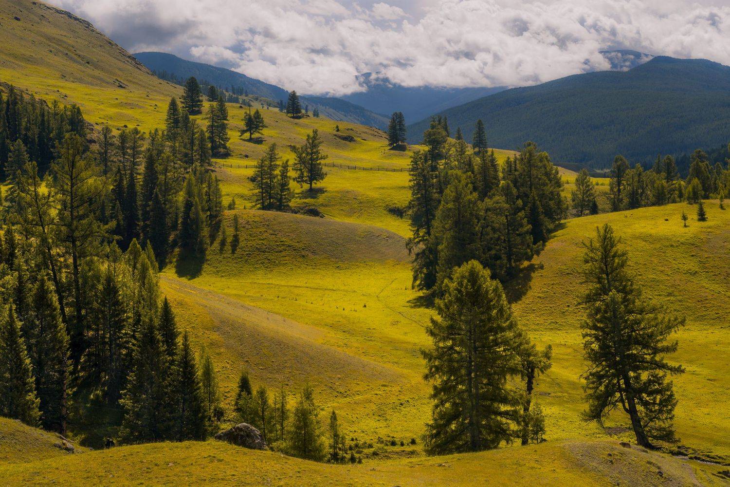 россия, горный алтай, Андрей Поляков