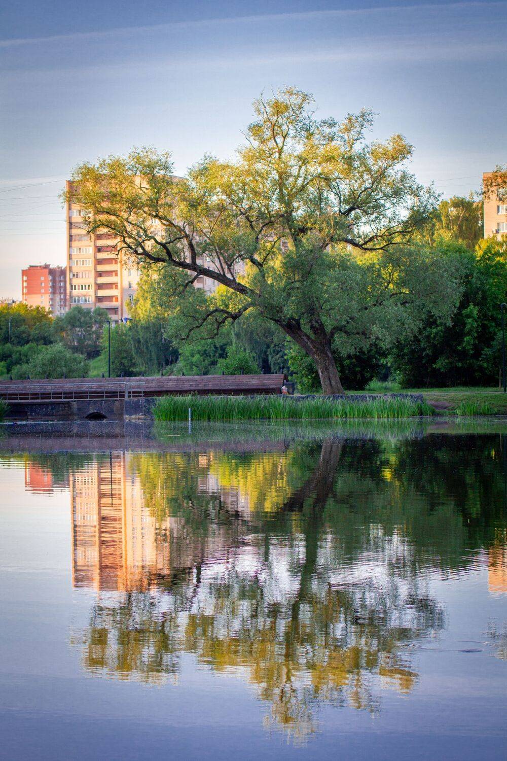 , Сергей Фаренюк