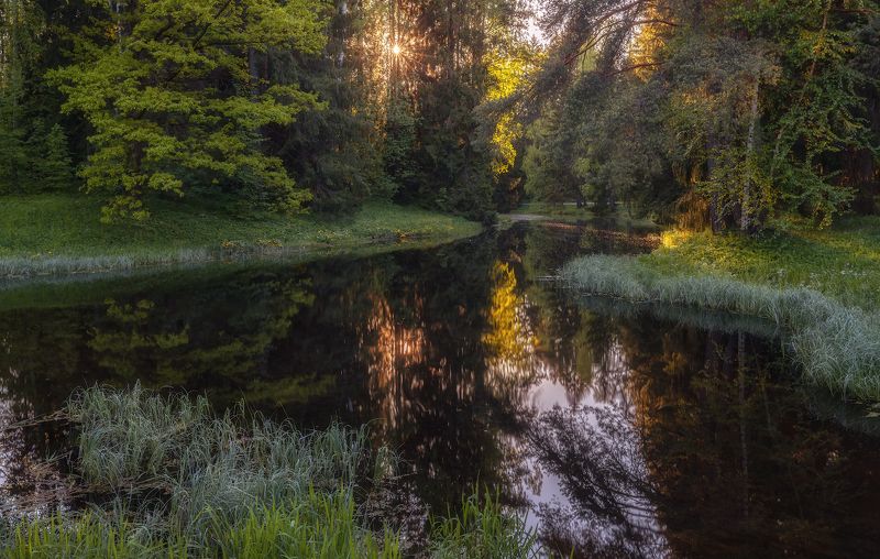 весна река солнце вечер закат май отражение Триумф весны фото превью