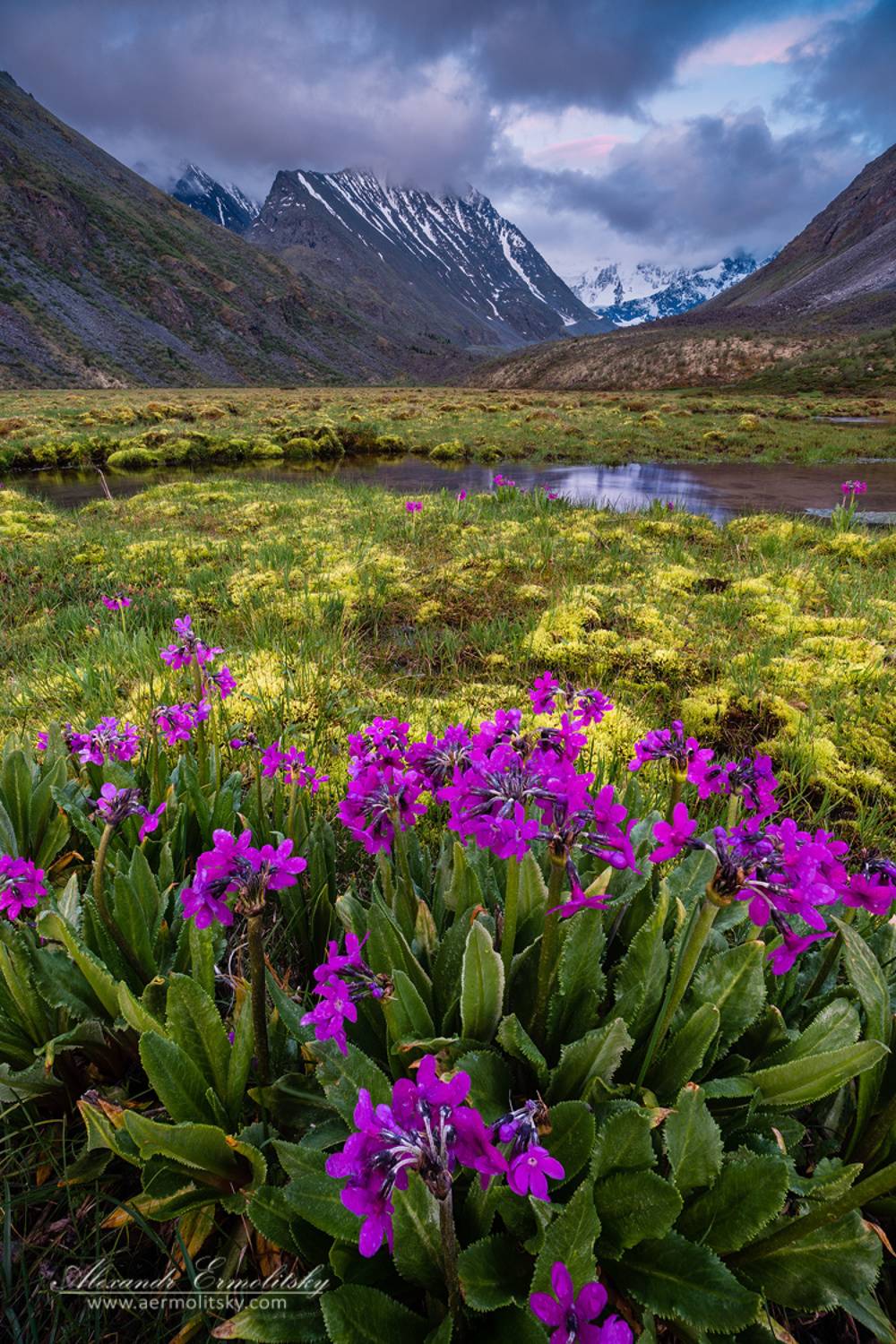 алтай, altai, Ермолицкий Александр