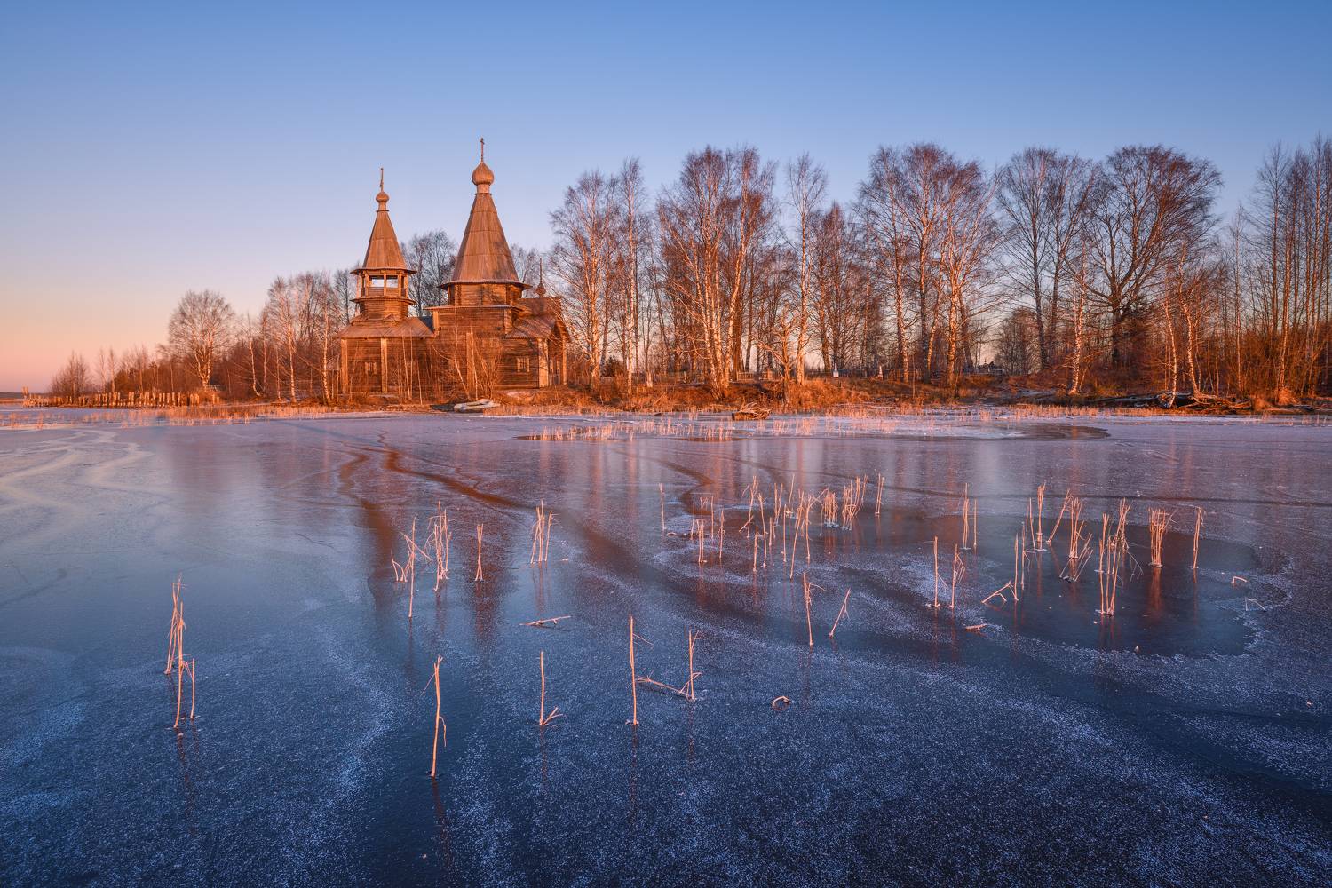 , Максим Евдокимов