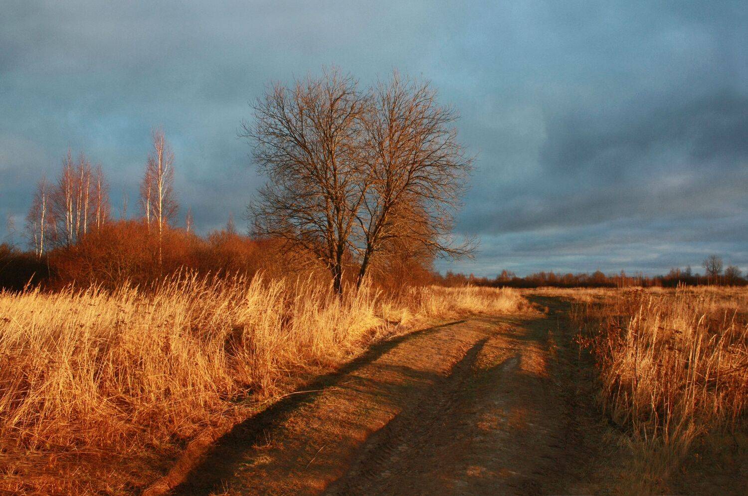 осень , дорога, Александр Свистков