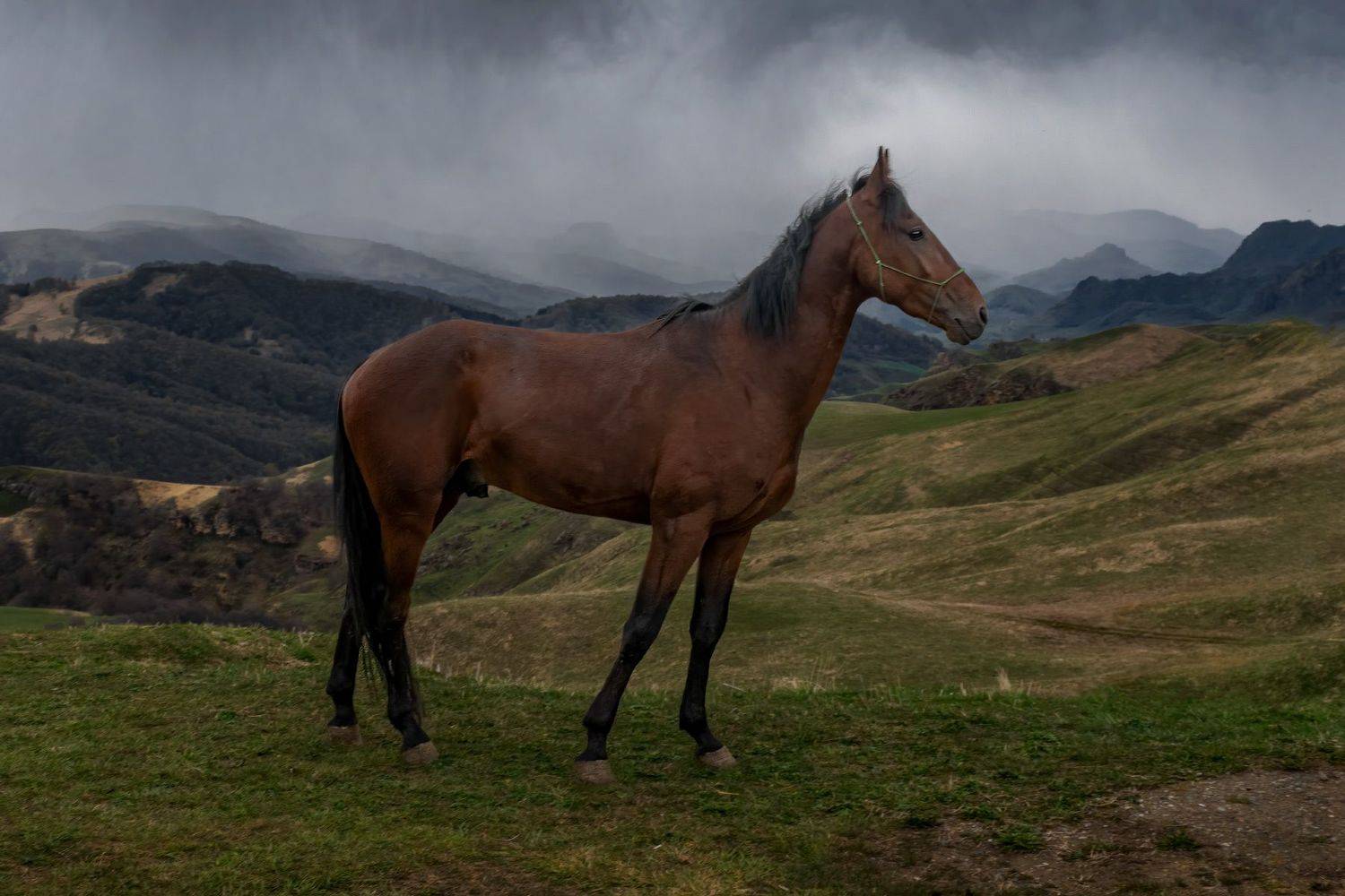 , Алиева Татьяна