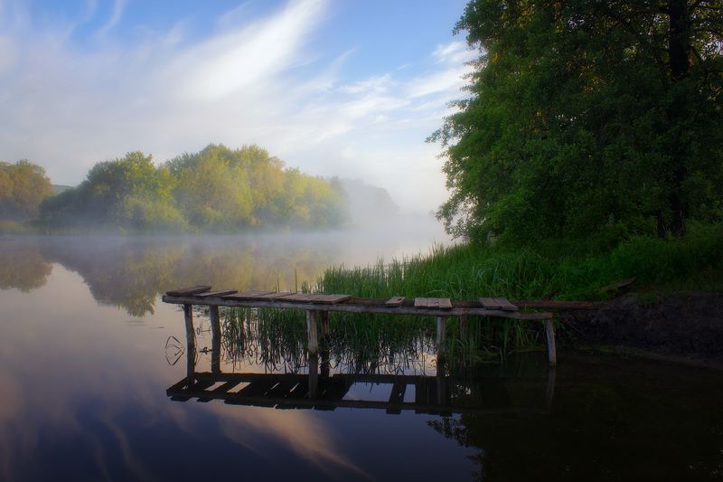 пейзаж, туман, река, утро, лес, landscape, fog, river, morning, forest Берег Северского Донца фото превью