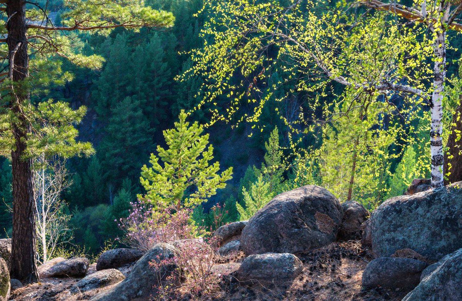 , Сергей Брагин