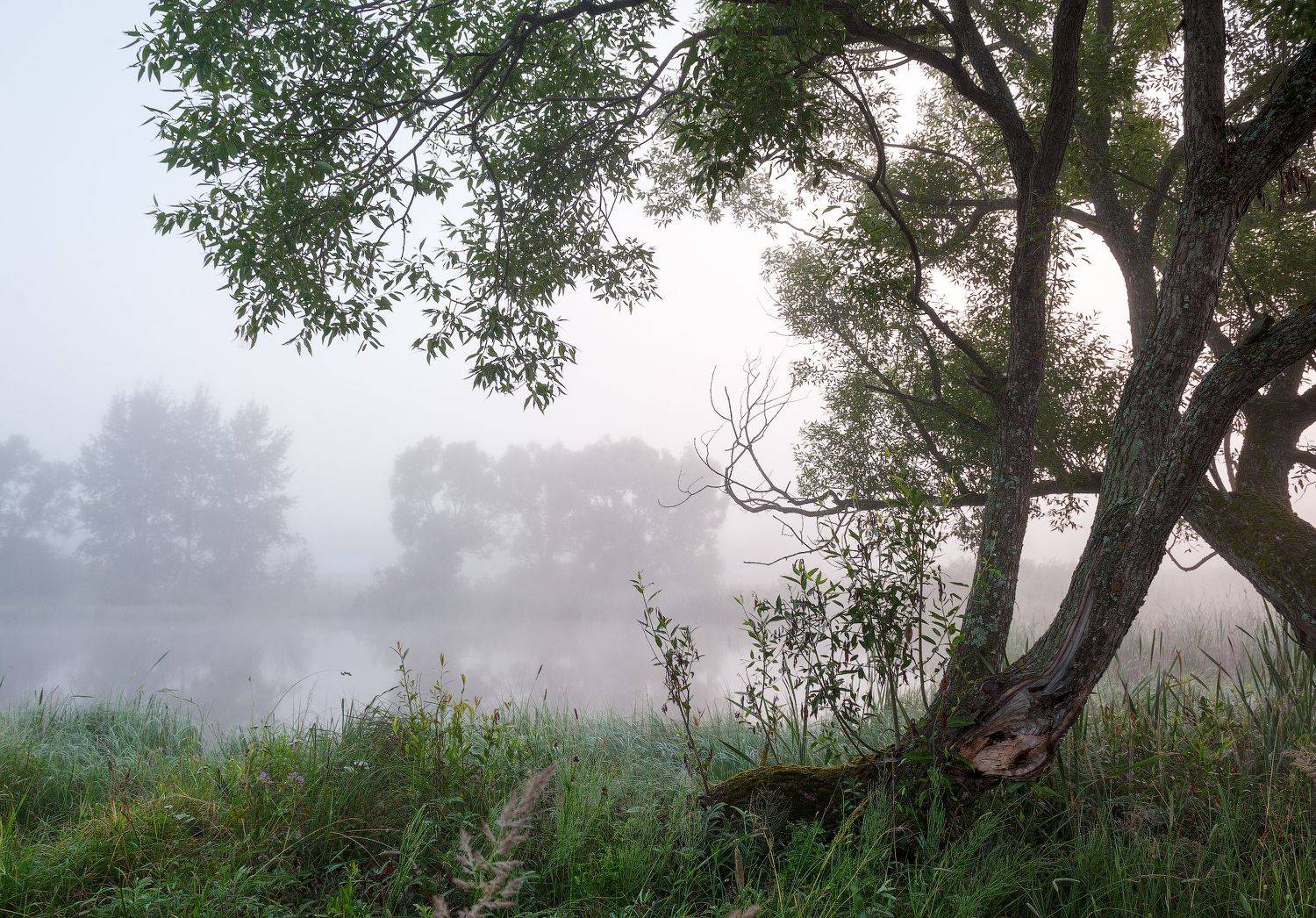 , Борис Леваков