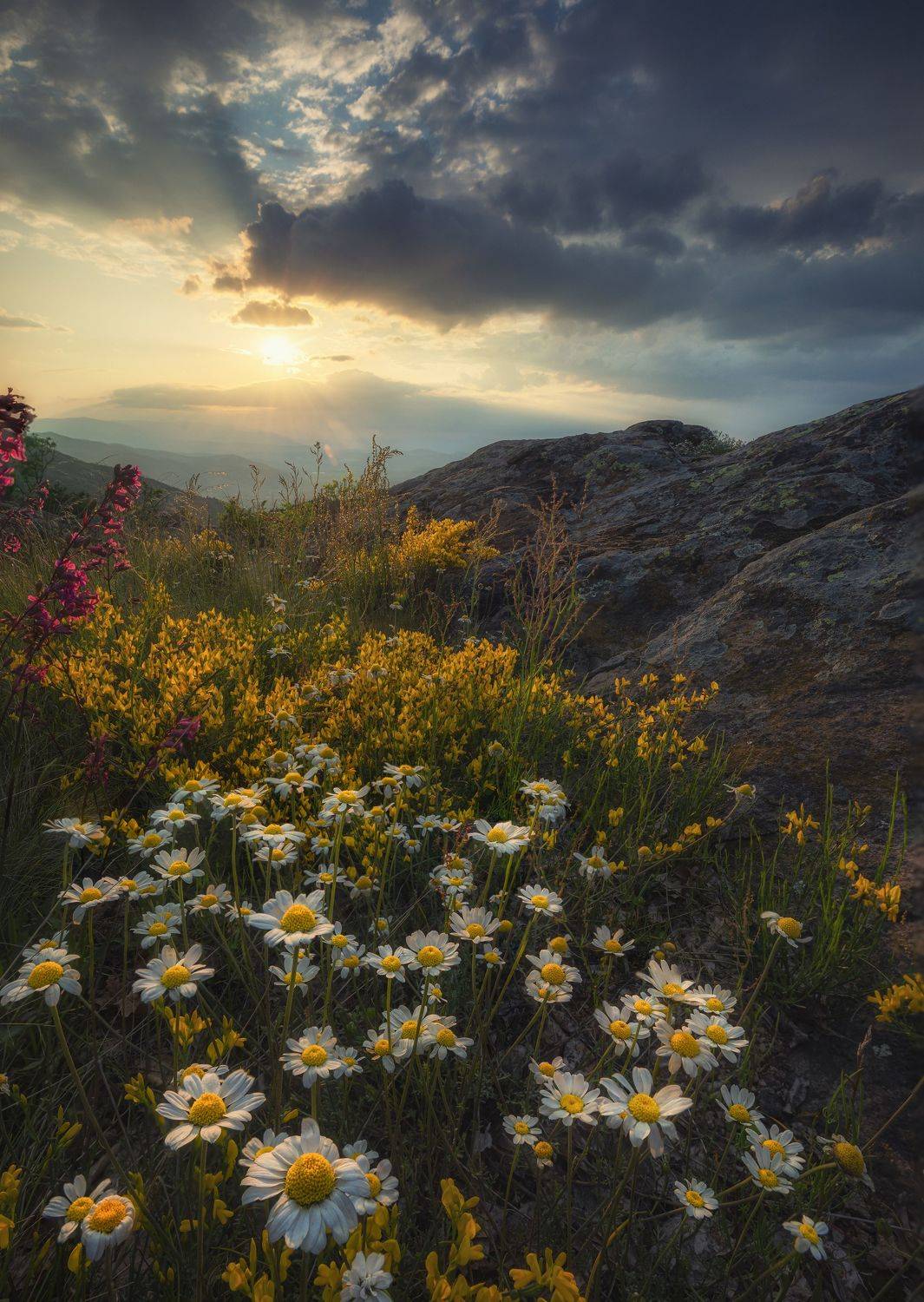 , Костадин Маджаров