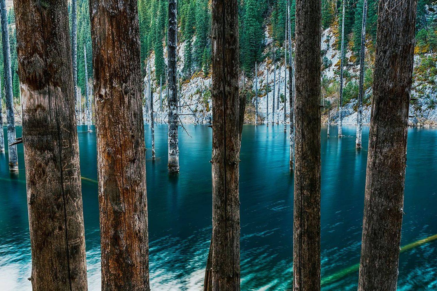 , Лазарев Сергей