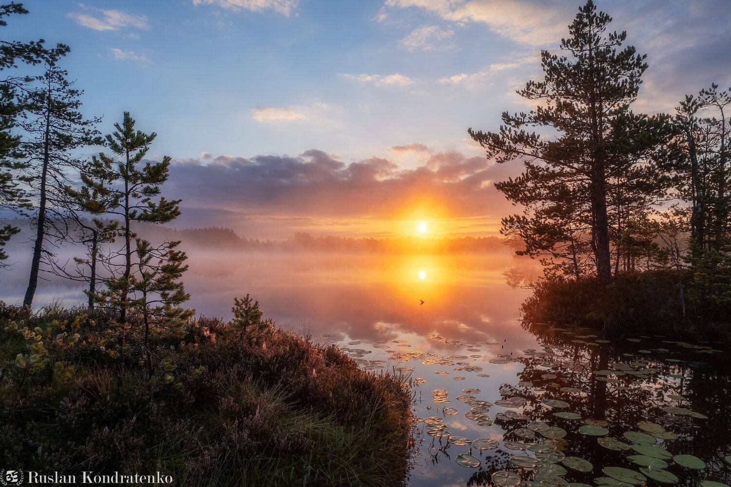 ленинградская область, озеро, рассвет, закат, рыбачье озеро, Руслан Кондратенко