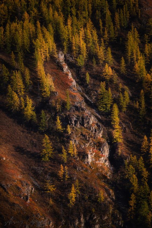 altay, autumn, october, cold, mountains, landscape *** фото превью