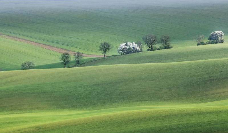 +++++++ фото превью