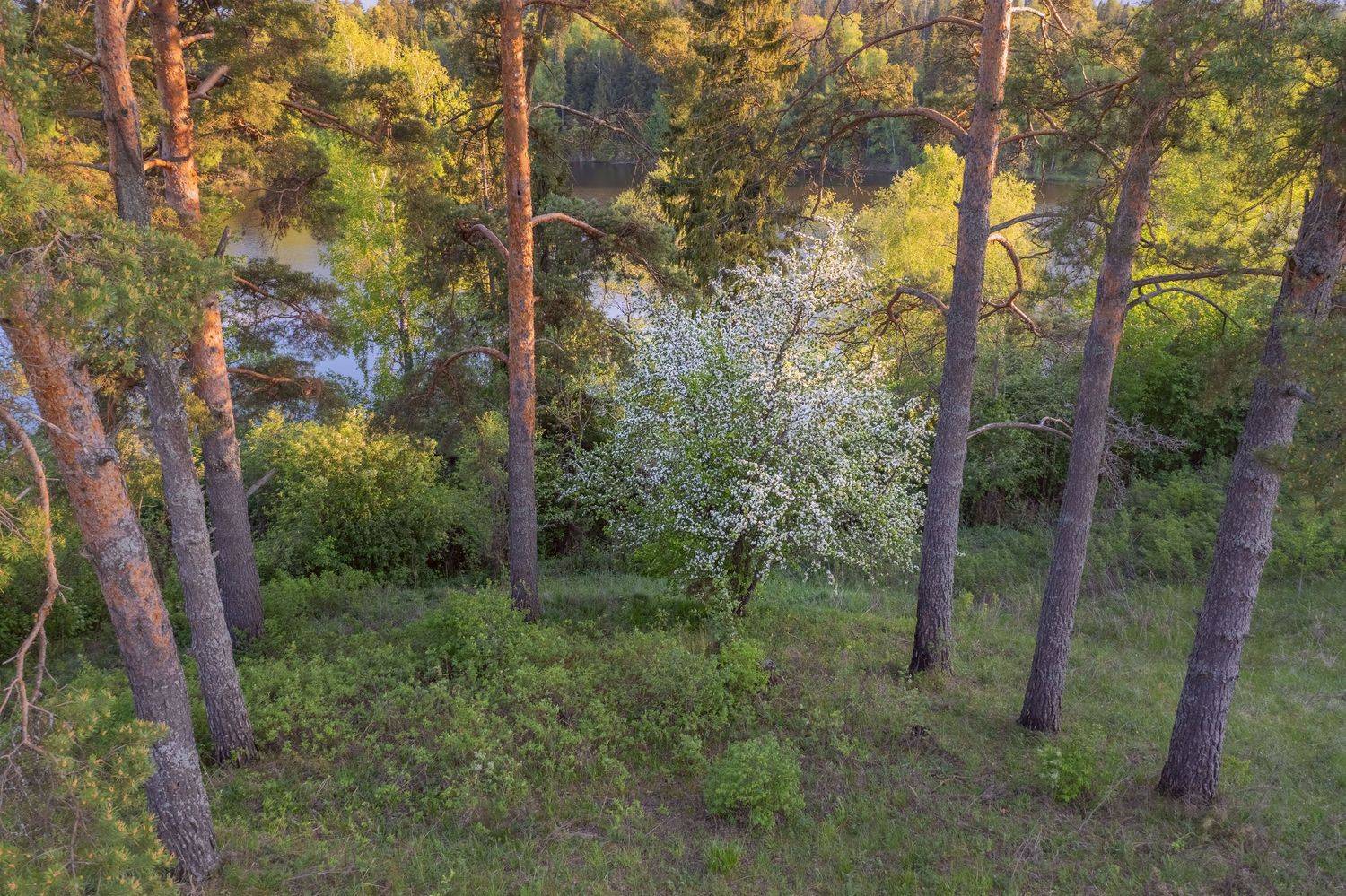 Фототуры с Владимиром Рябковым, #topnature #russpasibo #magic_shots #lovelyRussia #sunset_vision #exclusive_sky  #exclusive_shots #loves_russia2 #photoarena_nature #nature_sultans #nature_perfection #rsa_sky #rsa_sunset #photorussia #rsa_naturepics #sunse, Владимир Рябков