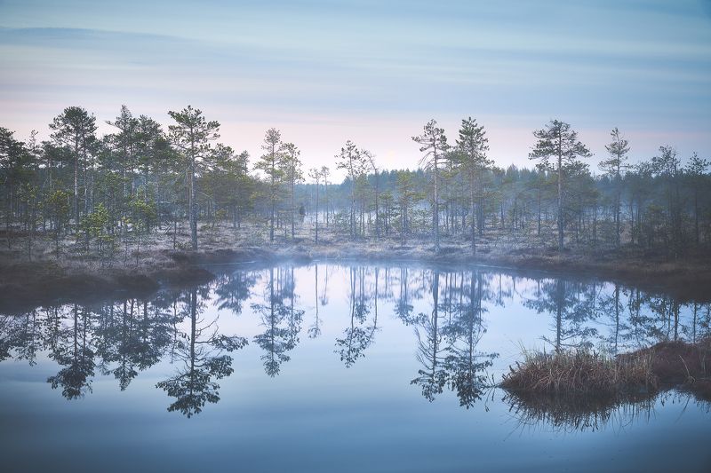 Утро фото превью