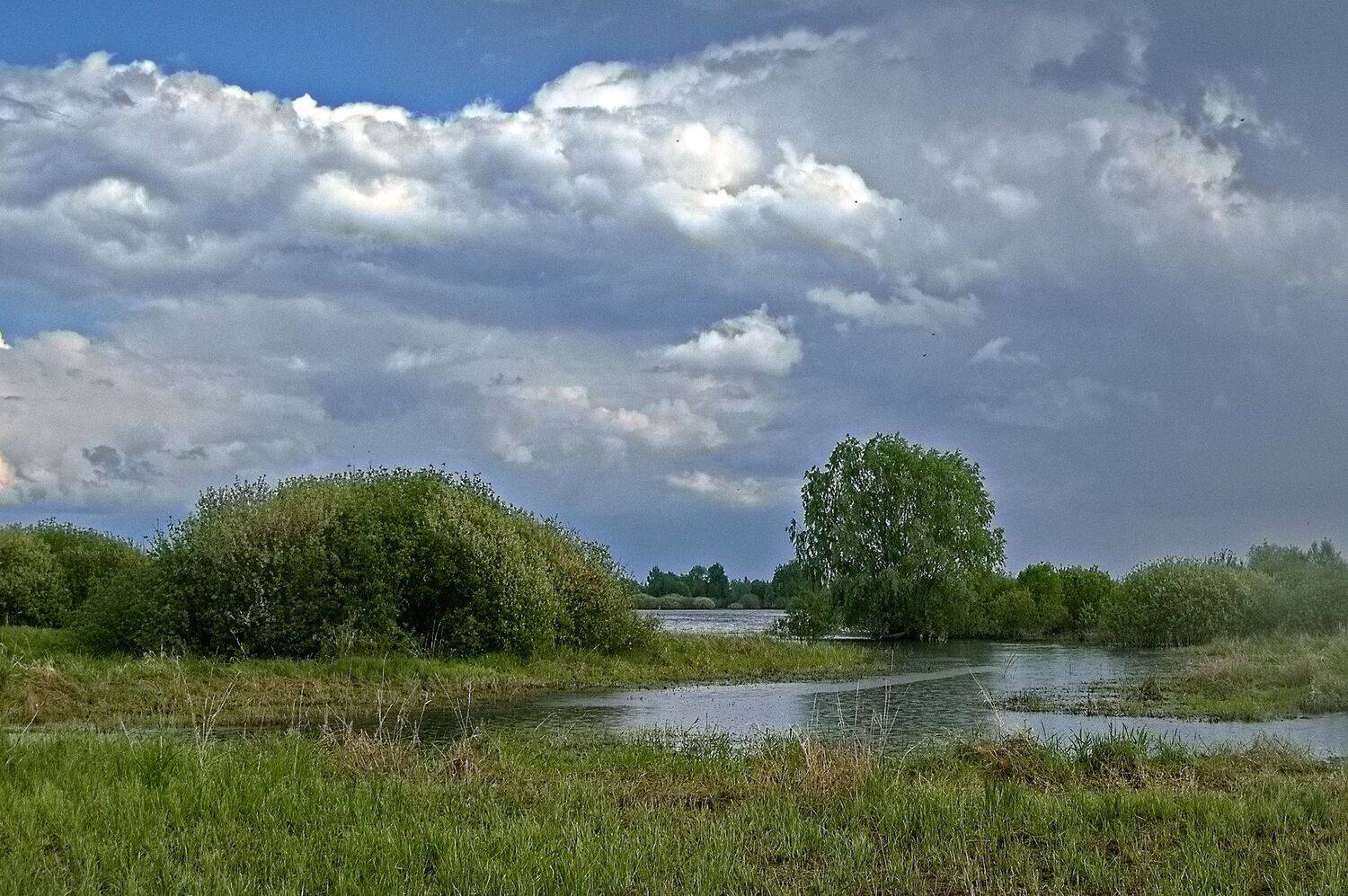 , Николаев Владимир