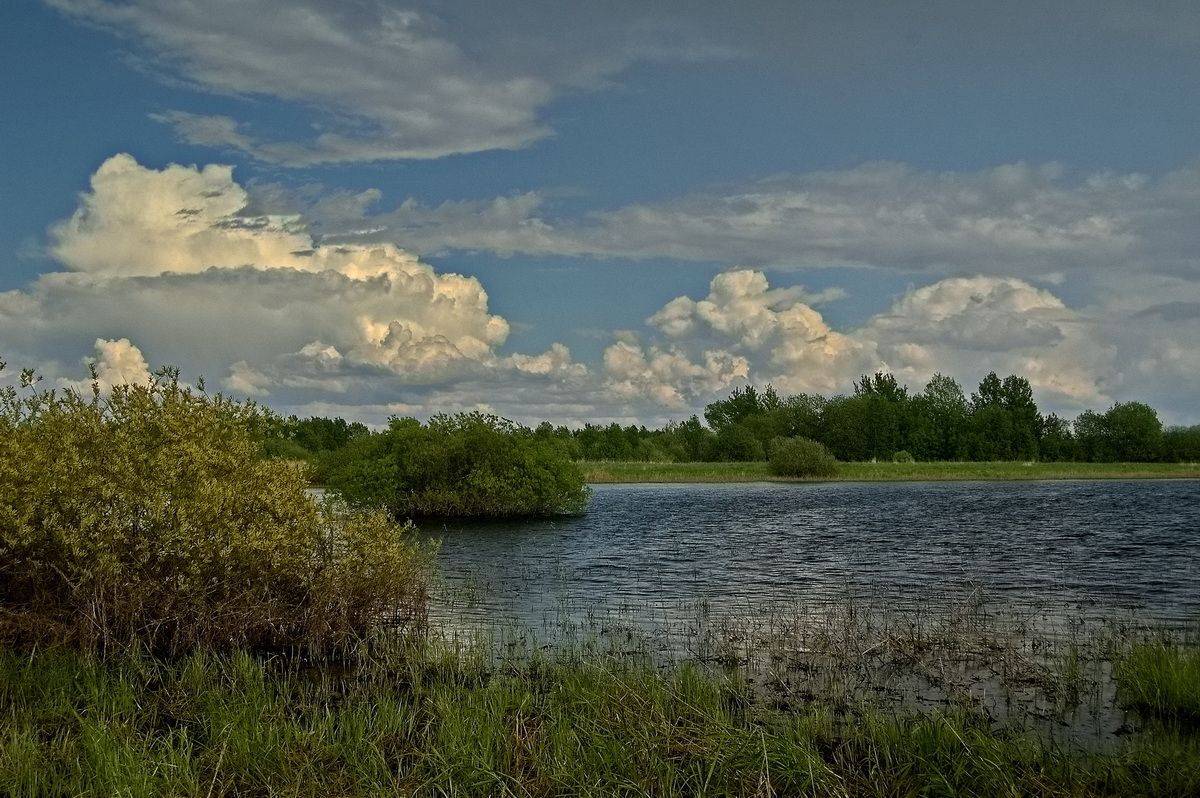 , Николаев Владимир