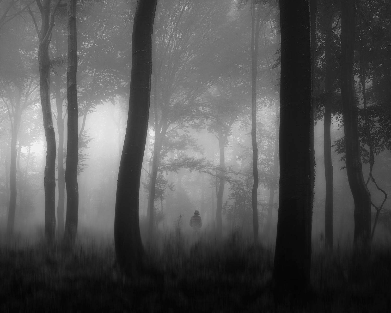 , Thomas de Franzoni