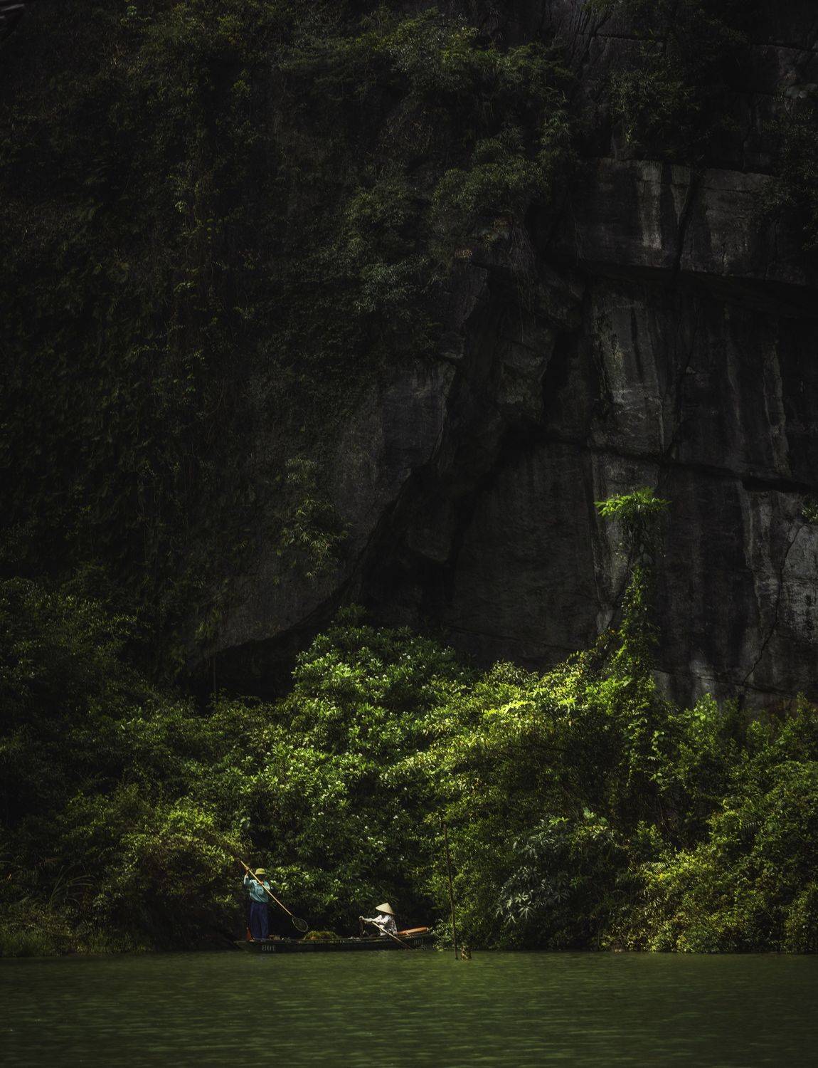 , Могилевич Elena