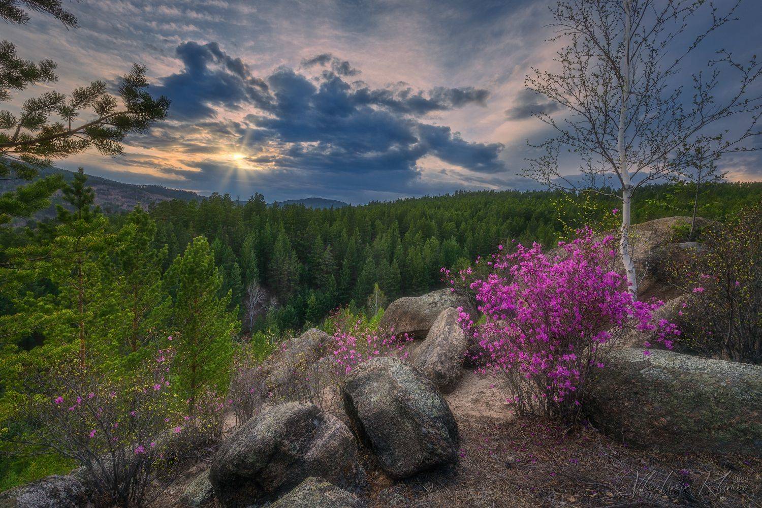 , Владимир Климов