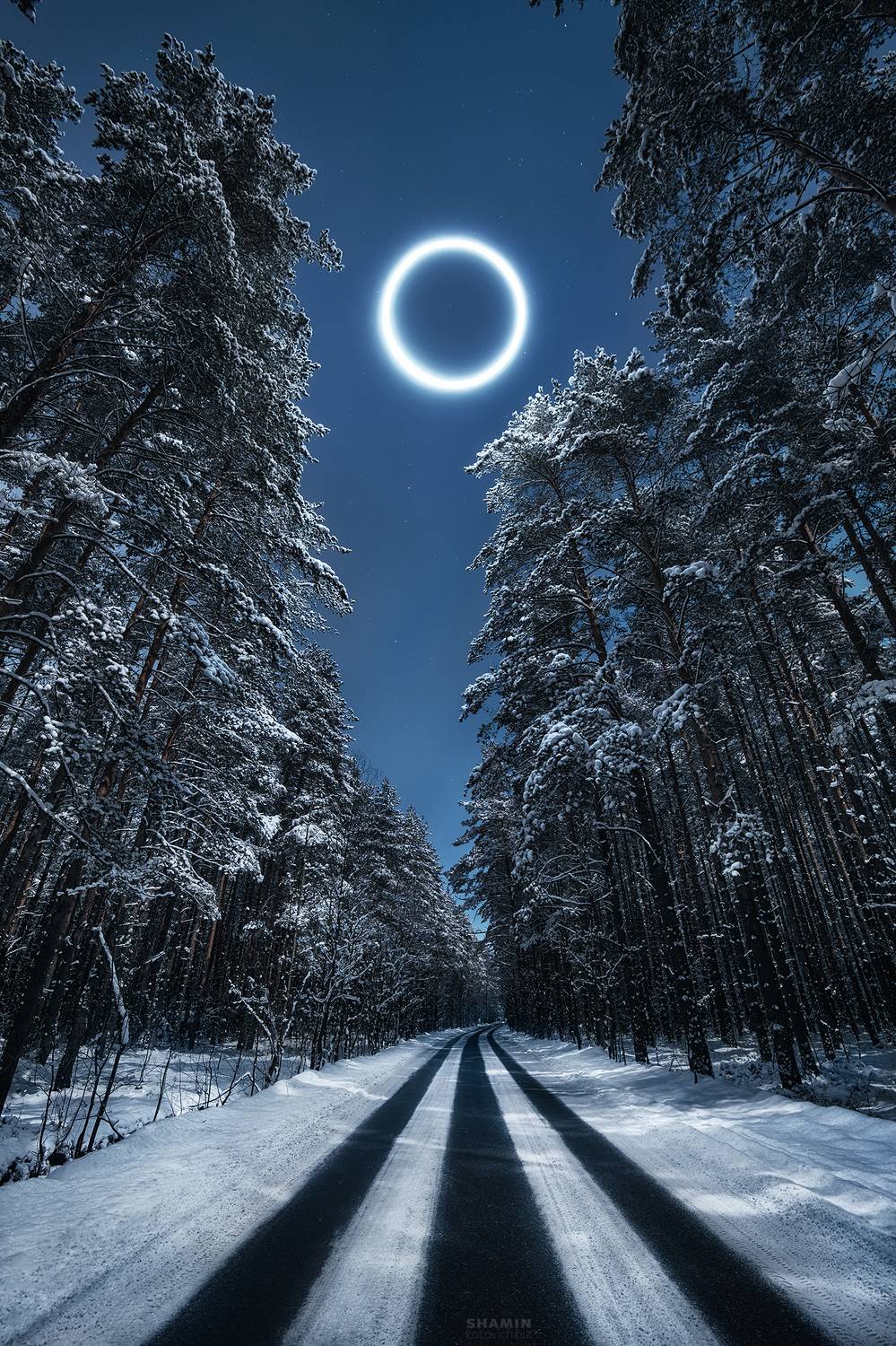 , Константин Шамин