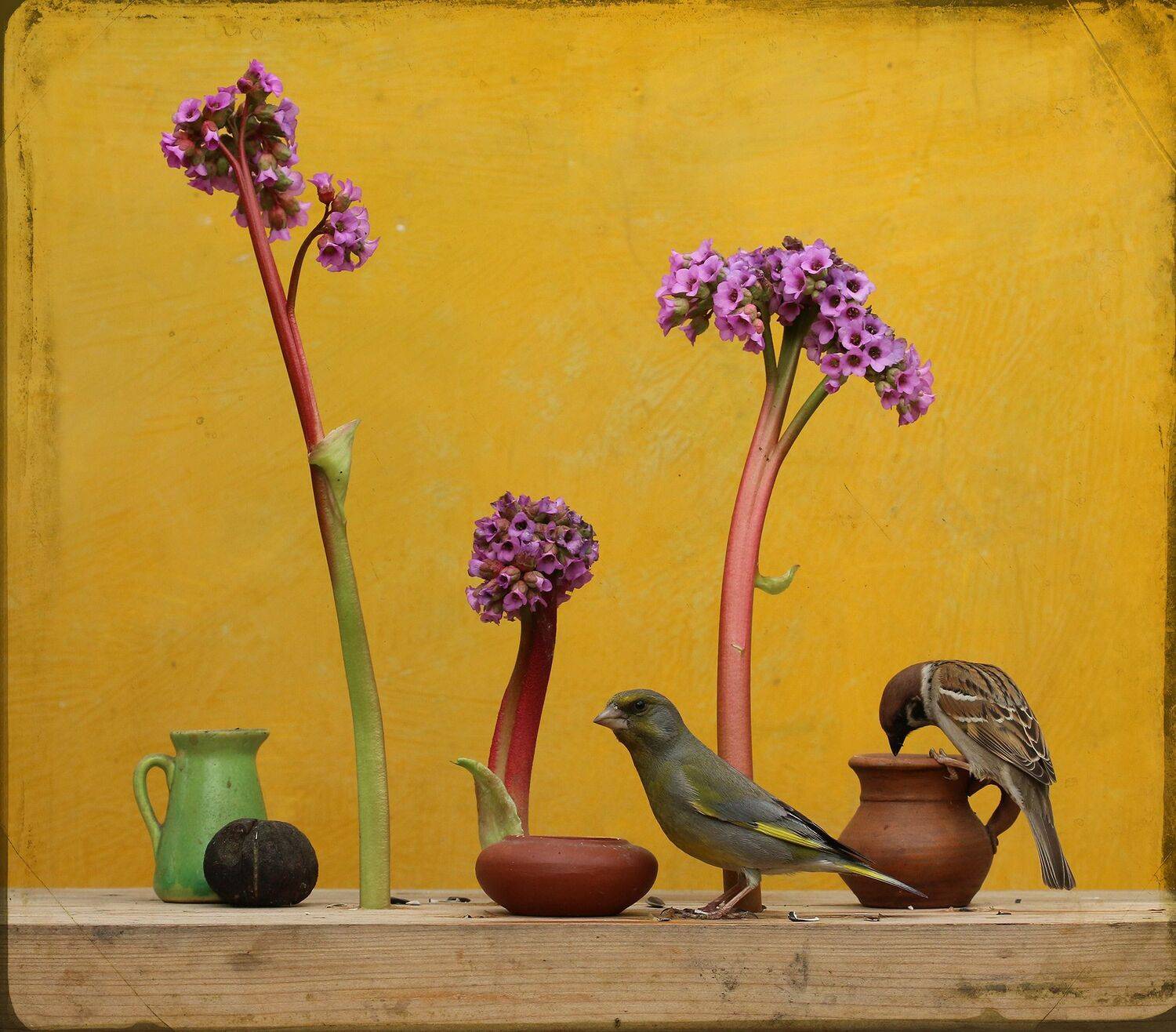 зеленушка, Хромушин Олег