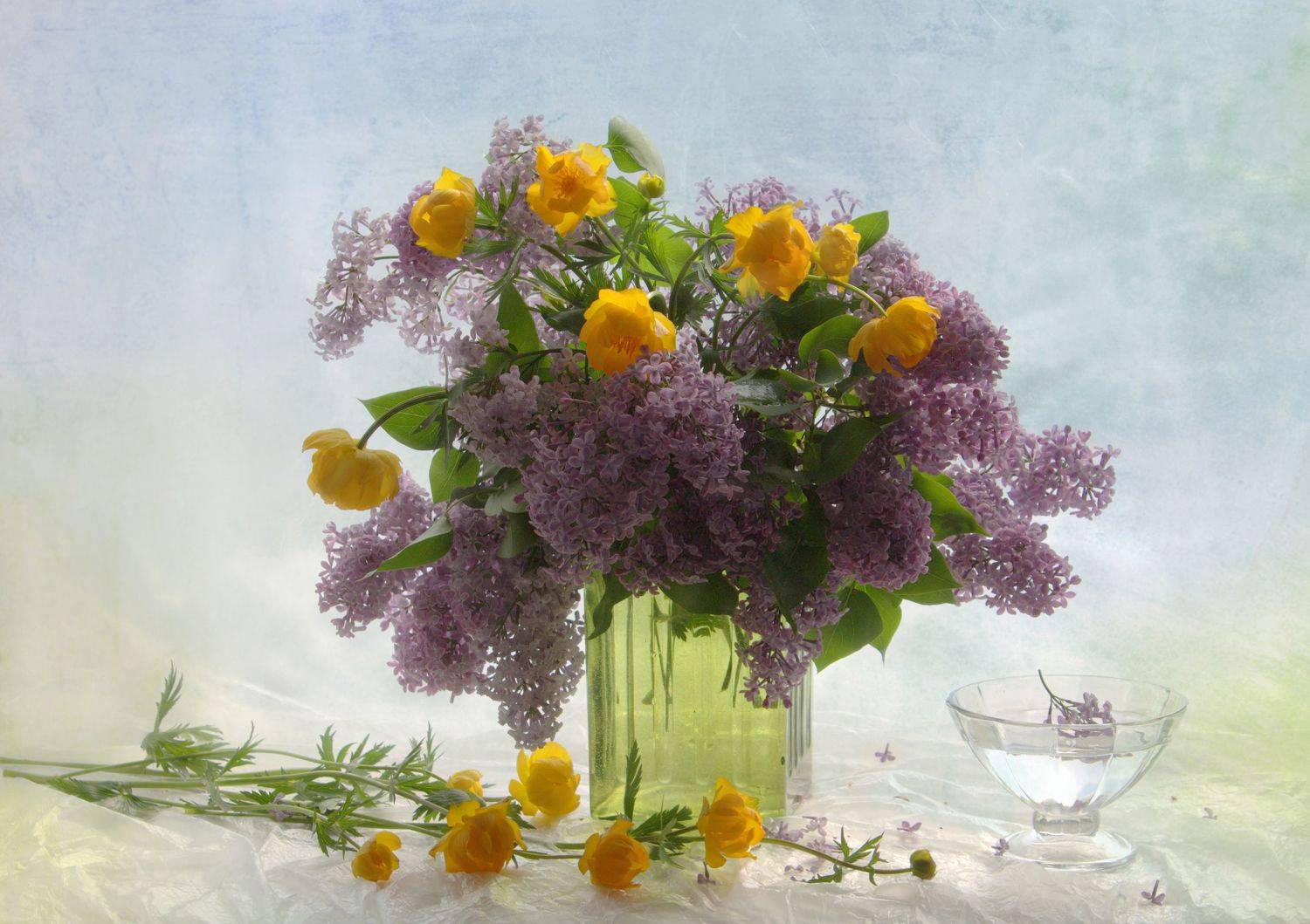 , Хохлова Наталья