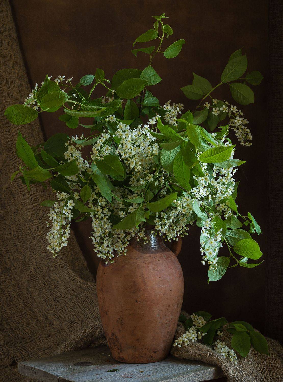 , Хвойнова Елена